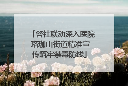 警社联动深入医院 珞珈山街道精准宣传筑牢禁毒防线