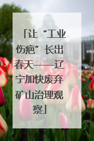 让“工业伤疤”长出春天——辽宁加快废弃矿山治理观察