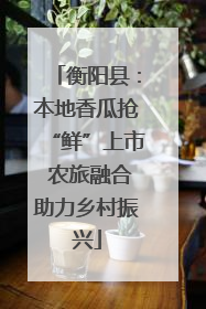 衡阳县：本地香瓜抢“鲜”上市 农旅融合助力乡村振兴