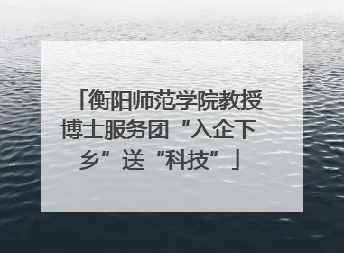 衡阳师范学院教授博士服务团“入企下乡”送“科技”