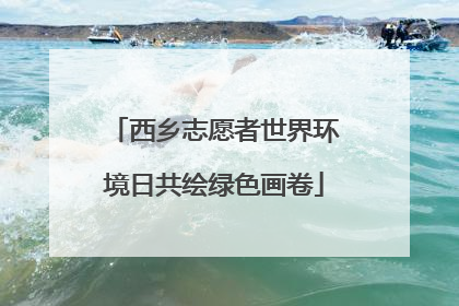 西乡志愿者世界环境日共绘绿色画卷