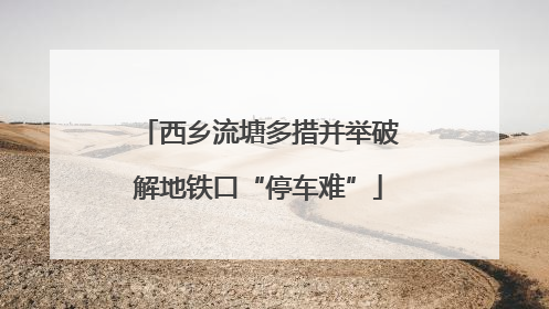 西乡流塘多措并举破解地铁口“停车难”