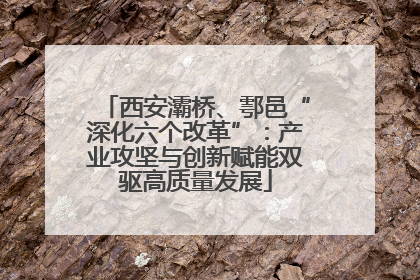 西安灞桥、鄠邑“深化六个改革”：产业攻坚与创新赋能双驱高质量发展