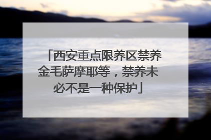 西安重点限养区禁养金毛萨摩耶等，禁养未必不是一种保护
