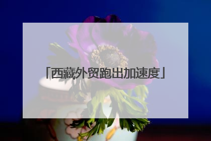 西藏外贸跑出加速度
