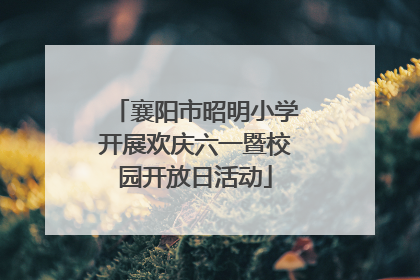 襄阳市昭明小学开展欢庆六一暨校园开放日活动