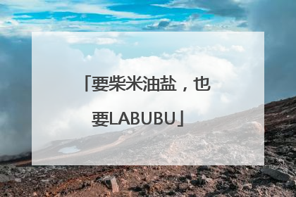要柴米油盐，也要LABUBU