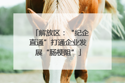 解放区：“纪企直通”打通企业发展“肠梗阻”