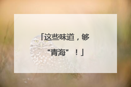 这些味道，够“青海”！