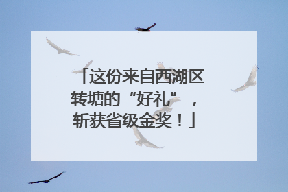这份来自西湖区转塘的“好礼”，斩获省级金奖！