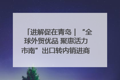 进解促在青岛｜“全球外贸优品 聚惠活力市南”出口转内销进商超专场活动启动