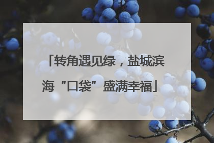 转角遇见绿，盐城滨海“口袋”盛满幸福