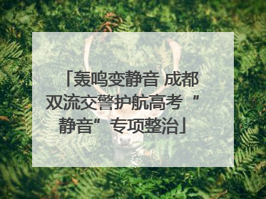 轰鸣变静音 成都双流交警护航高考“静音”专项整治