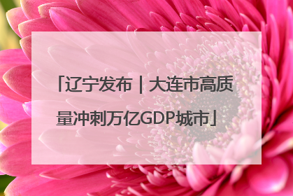 辽宁发布｜大连市高质量冲刺万亿GDP城市