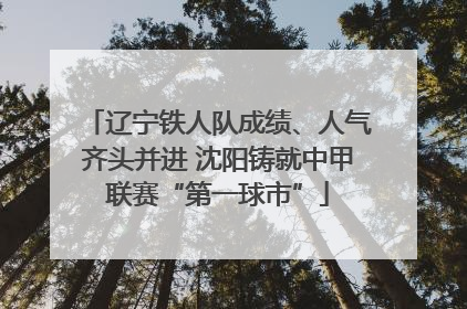 辽宁铁人队成绩、人气齐头并进 沈阳铸就中甲联赛“第一球市”