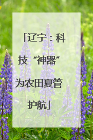 辽宁：科技“神器”为农田夏管护航