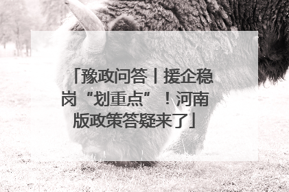 豫政问答丨援企稳岗“划重点”！河南版政策答疑来了
