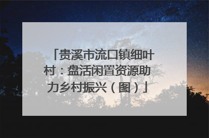 贵溪市流口镇细叶村：盘活闲置资源助力乡村振兴（图）