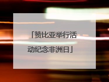 赞比亚举行活动纪念非洲日