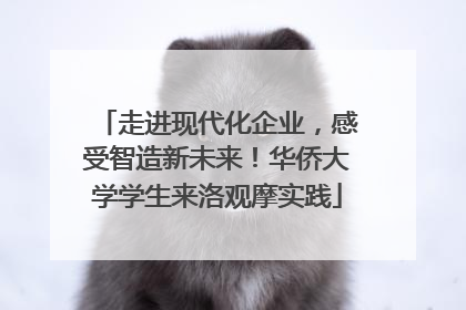 走进现代化企业，感受智造新未来！华侨大学学生来洛观摩实践