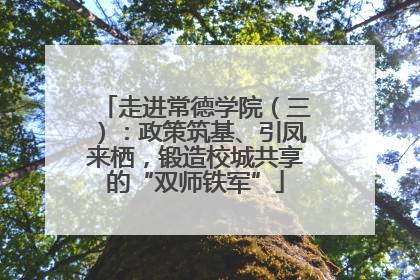 走进常德学院（三）：政策筑基、引凤来栖，锻造校城共享的“双师铁军”