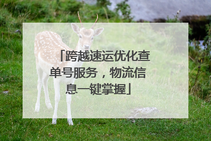 跨越速运优化查单号服务，物流信息一键掌握