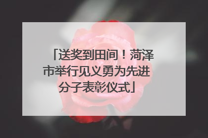 送奖到田间！菏泽市举行见义勇为先进分子表彰仪式
