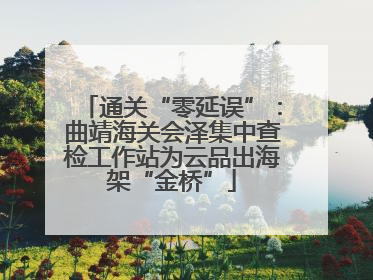 通关“零延误”：曲靖海关会泽集中查检工作站为云品出海架“金桥”