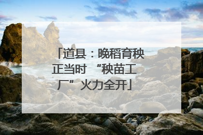道县：晚稻育秧正当时 “秧苗工厂”火力全开