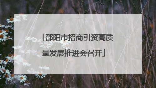 邵阳市招商引资高质量发展推进会召开