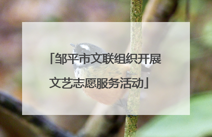 邹平市文联组织开展文艺志愿服务活动