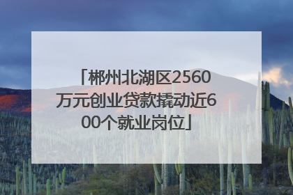 郴州北湖区2560万元创业贷款撬动近600个就业岗位