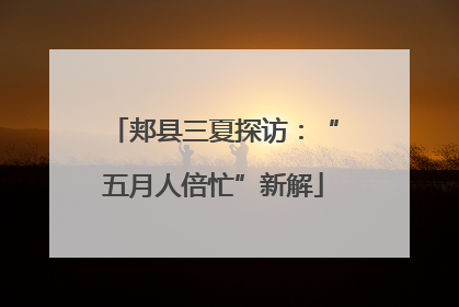 郏县三夏探访：“五月人倍忙”新解