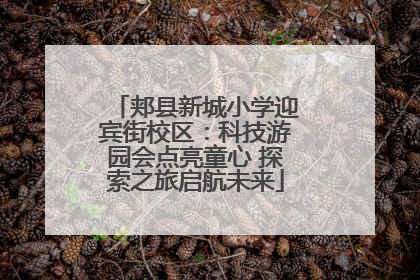 郏县新城小学迎宾街校区：科技游园会点亮童心 探索之旅启航未来