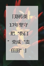 郑传英：17年坚守 把“伤口”变成“责任田”