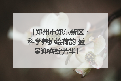 郑州市郑东新区：科学养护绘荷韵 盛景迎客绽芳华