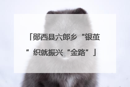 郧西县六郎乡“银茧”织就振兴“金路”