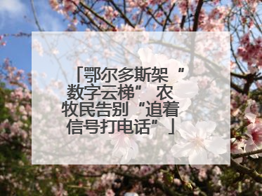 鄂尔多斯架“数字云梯” 农牧民告别“追着信号打电话”