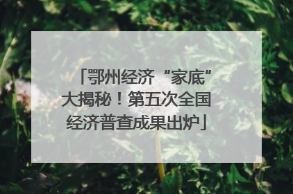 鄂州经济“家底”大揭秘！第五次全国经济普查成果出炉
