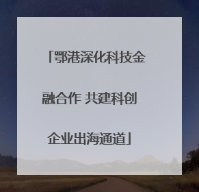 鄂港深化科技金融合作 共建科创企业出海通道