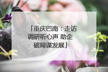 重庆巴南：走访调研听心声 助企破局谋发展