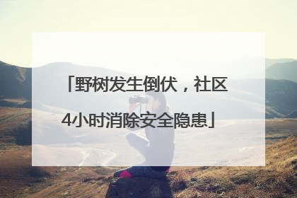 野树发生倒伏，社区4小时消除安全隐患