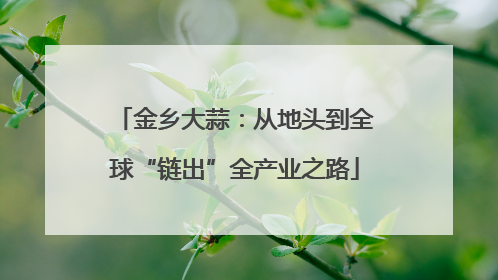 金乡大蒜：从地头到全球“链出”全产业之路