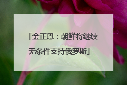 金正恩：朝鲜将继续无条件支持俄罗斯