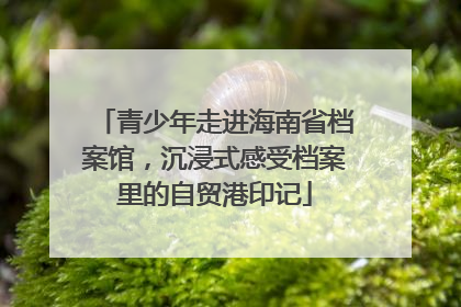 青少年走进海南省档案馆，沉浸式感受档案里的自贸港印记