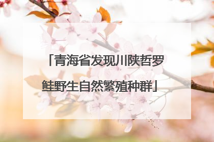 青海省发现川陕哲罗鲑野生自然繁殖种群