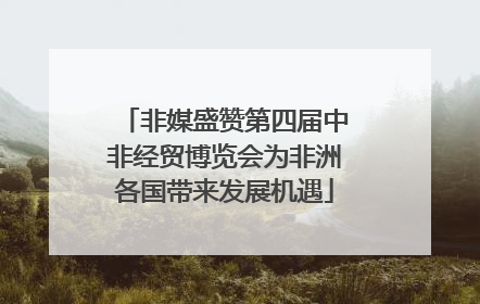 非媒盛赞第四届中非经贸博览会为非洲各国带来发展机遇