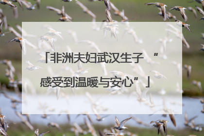 非洲夫妇武汉生子 “感受到温暖与安心”