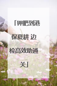 钾肥到港保夏耕 边检高效助通关