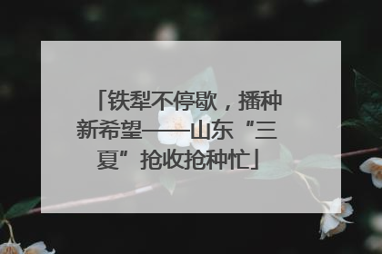 铁犁不停歇，播种新希望——山东“三夏”抢收抢种忙